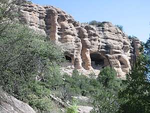 Gila Woodland Up to dwelling